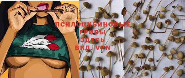 а пвп мука Мегион