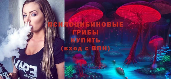 трава Медвежьегорск