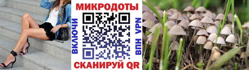 Псилоцибиновые грибы ЛСД Купить закладки Талдом